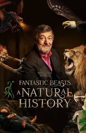 Fantastic Beasts A Natural History บรรยายไทย