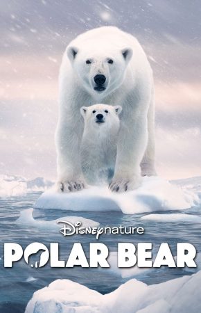 Polar Bear พากย์ไทย