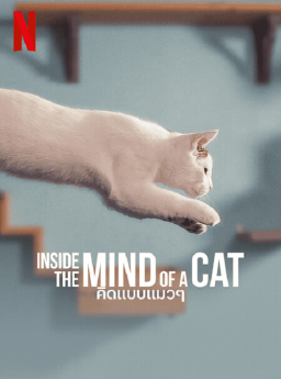 Inside the Mind of a Cat  คิดแบบแมวๆ