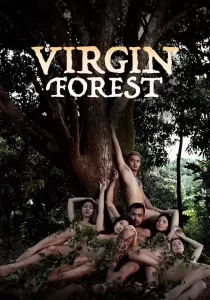 Virgin forest